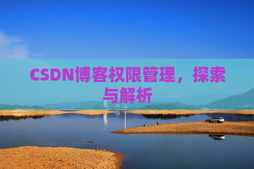 CSDN博客权限管理，探索与解析